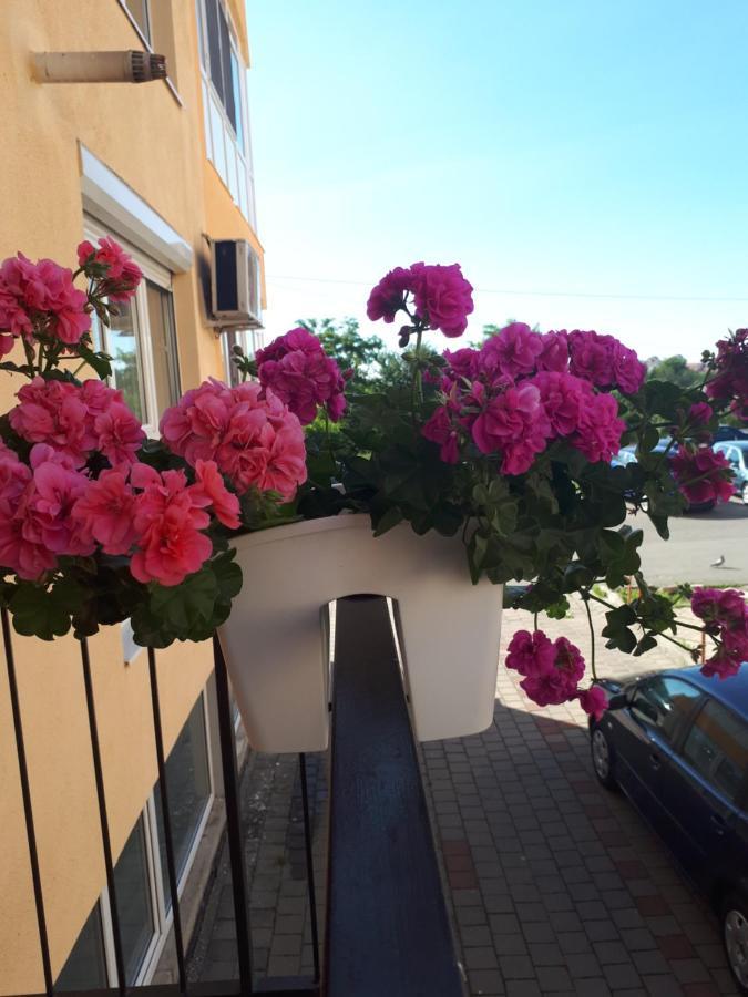 Angel Apartament Sibiu Exterior foto